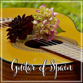 Guitar Of Spain - 20 Spanish Guitar Favourites
